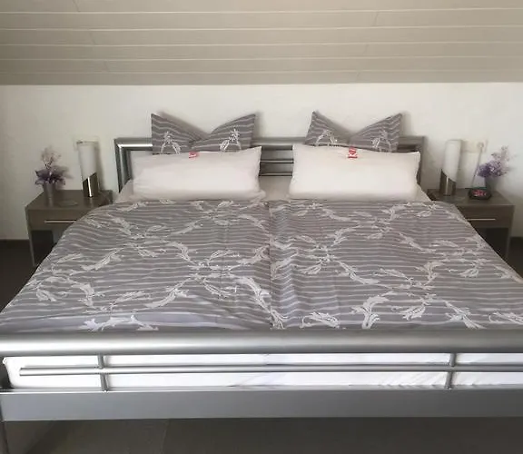 乌尔里希旅馆 3* 克罗嫩堡