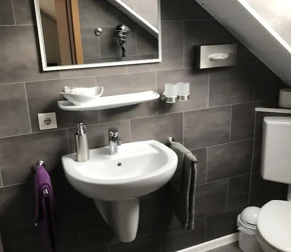 招待所 乌尔里希旅馆 3*