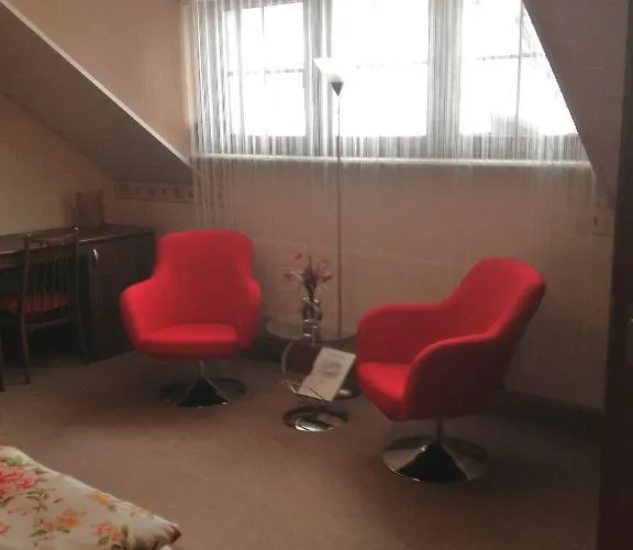 乌尔里希旅馆 招待所 3*