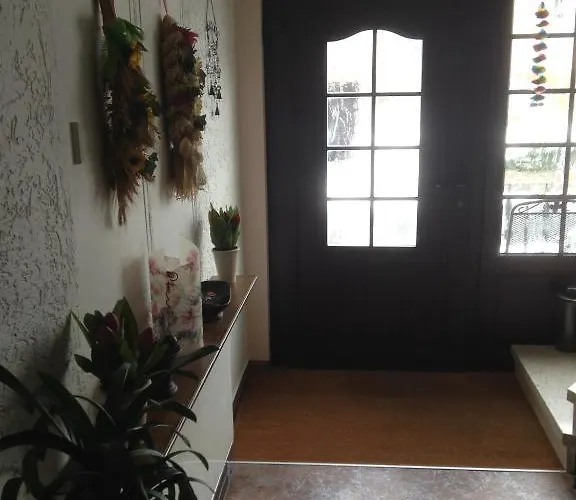 乌尔里希旅馆 招待所 克罗嫩堡